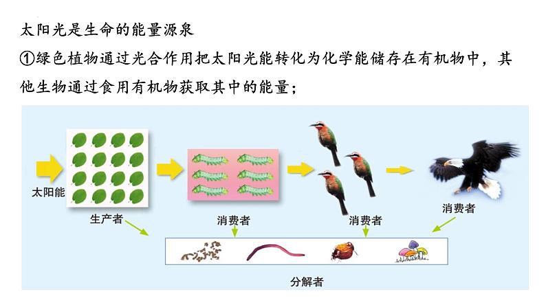 23.1生物的生存依赖一定的环境课件2023--2024学年北师大版生物八年级下册第7页