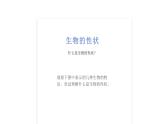 7.2.1基因控制生物的性状课件2023--2024学年人教版生物八年级下册