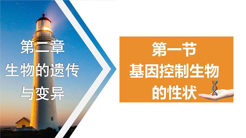 7.2.1基因控制生物的性状课件2023--2024学年人教版生物八年级下册 (1)第1页