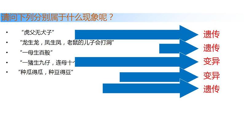 7.2.1基因控制生物的性状课件-2023-2024学年人教版生物八年级下册第5页