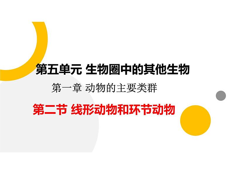 5.1.2+线形动物和环节动物课件2023-2024学年人教版生物八年级上册01