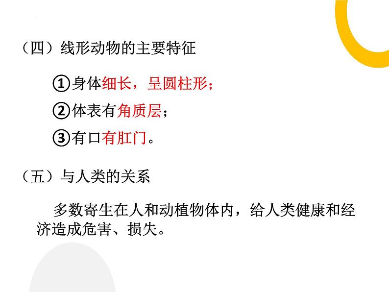 5.1.2+线形动物和环节动物课件2023-2024学年人教版生物八年级上册08