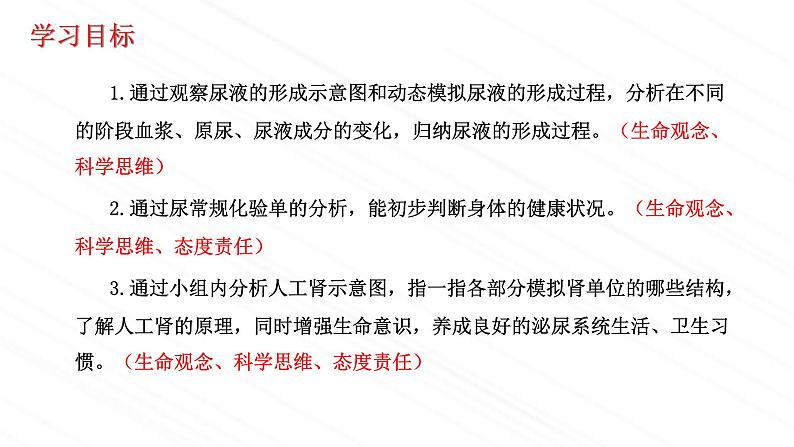 4.1尿液的形成与排出第2课时-课件2023-2024学年济南版生物七年级下册03