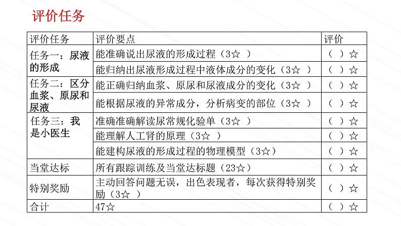 4.1尿液的形成与排出第2课时-课件2023-2024学年济南版生物七年级下册04