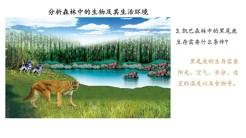 23.2+生物系统概述课件2023--2024学年北师大版生物八年级下册04