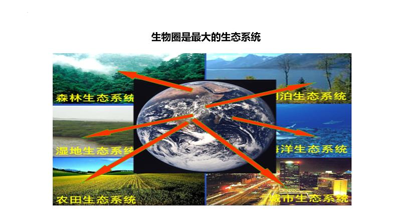 23.2+生物系统概述课件2023--2024学年北师大版生物八年级下册07