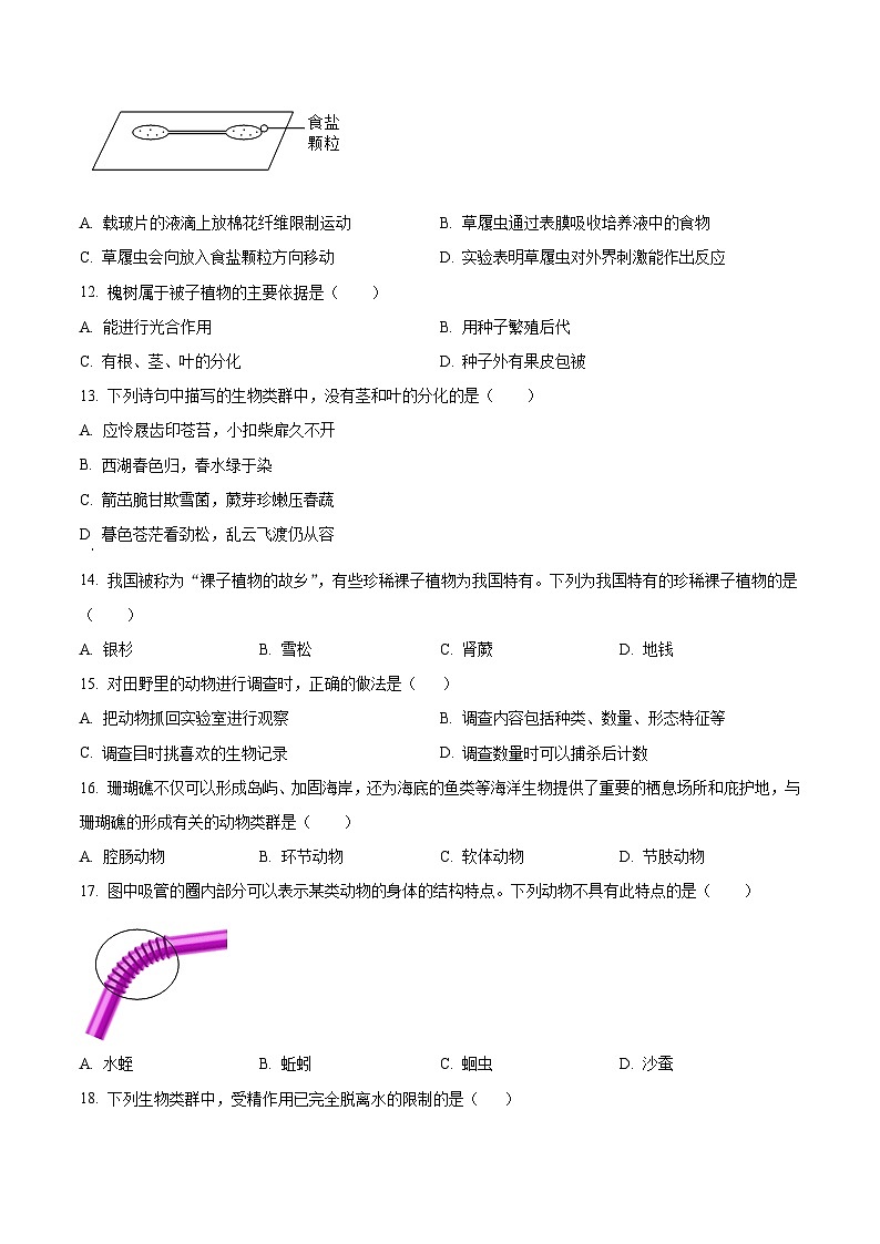 河北省保定市高碑店市2023-2024学年七年级上学期期末生物试题（原卷版+解析版）03