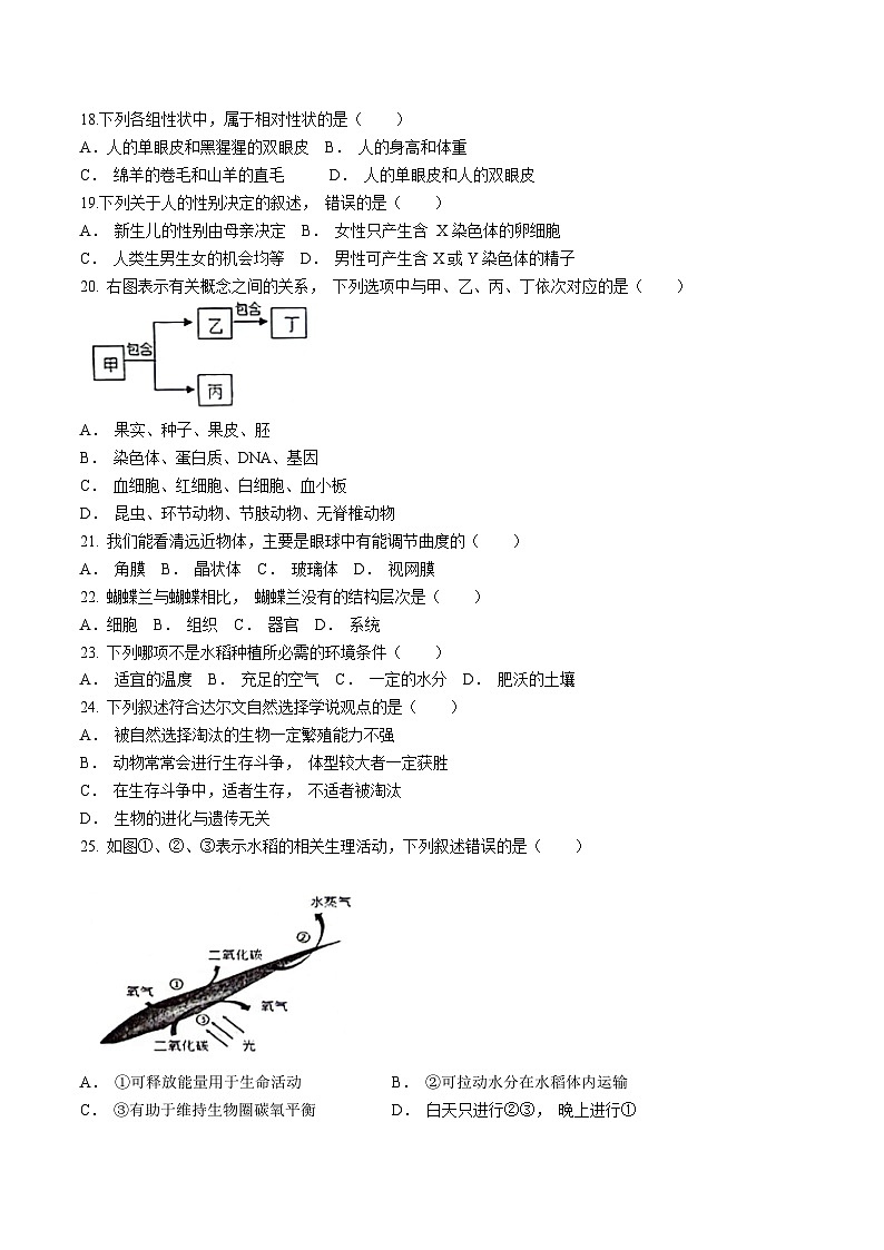 2024年福建省龙岩市长汀县中考一模生物试题(无答案)03