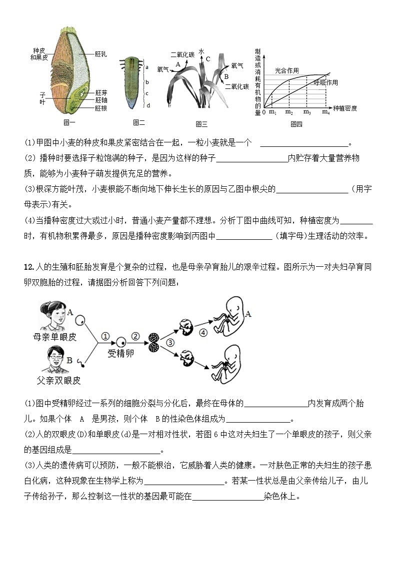2024年江苏省徐州市中考生物仿真试卷0403