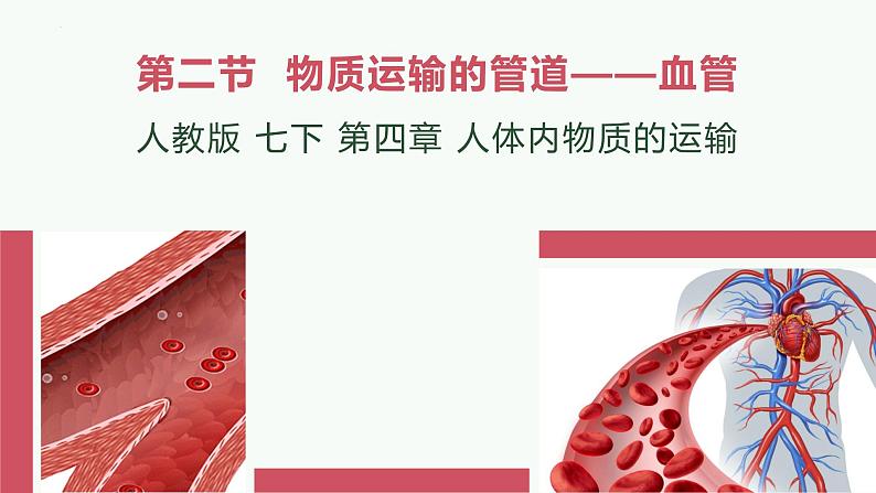 初中生物 人教版  七年级下册 4.2血流的管道——血管  课件第1页