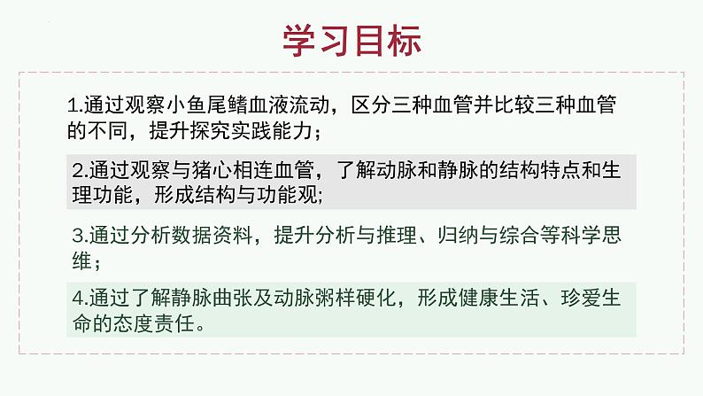 初中生物 人教版  七年级下册 4.2血流的管道——血管  课件第3页