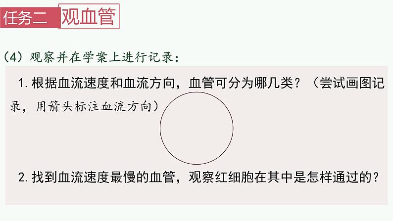 初中生物 人教版  七年级下册 4.2血流的管道——血管  课件第8页