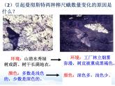 7.3.3++生物进化的原因++课件-2023-2024学年人教版生物八年级下册