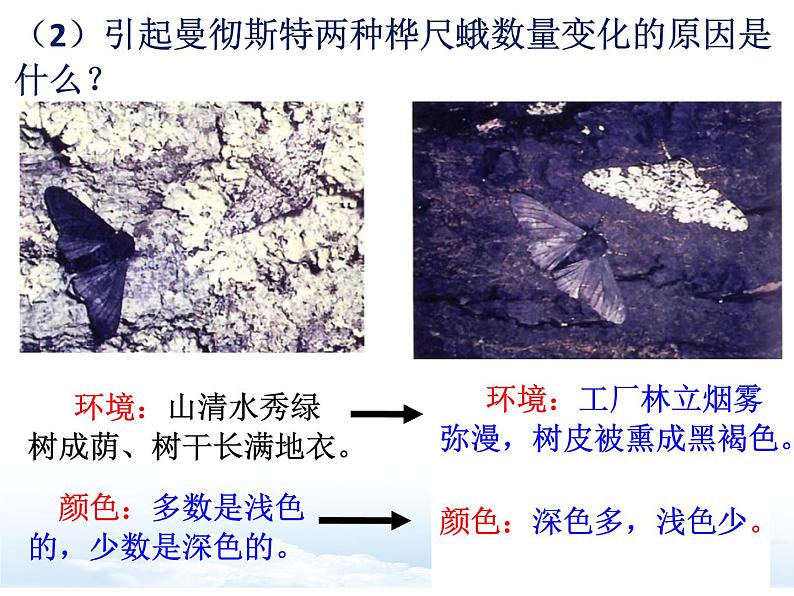 7.3.3++生物进化的原因++课件-2023-2024学年人教版生物八年级下册第4页