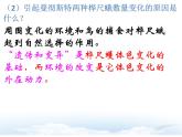 7.3.3++生物进化的原因++课件-2023-2024学年人教版生物八年级下册