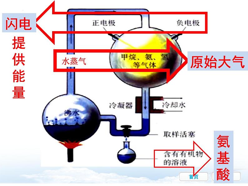 7.3.1++地球上生命的起源++课件-2023-2024学年人教版生物八年级下册第7页