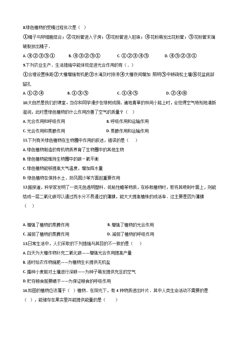 专题04 生物圈圈中的绿色植物（四）（答案+解析）-中考生物一轮复习刷题02
