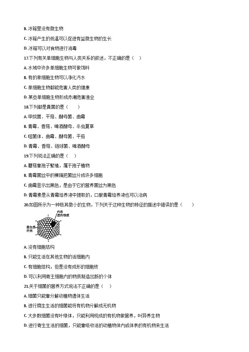 专题07 生物圈中的微生物（七）（答案+解析）-中考生物一轮复习刷题03