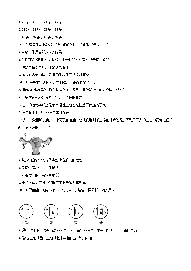专题08 生物圈中生命的延续和发展（八）（答案+解析）-中考生物一轮复习刷题第3页