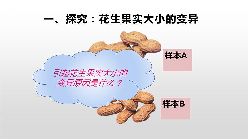 7.2.5++生物的变异++课件-2023-2024学年人教版生物八年级下册01