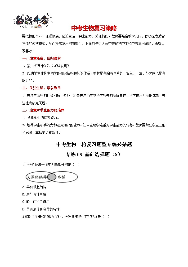 专练08 图像分析50题（学生版）第1页