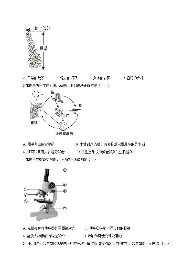 专练08 图像分析50题（学生版）第2页