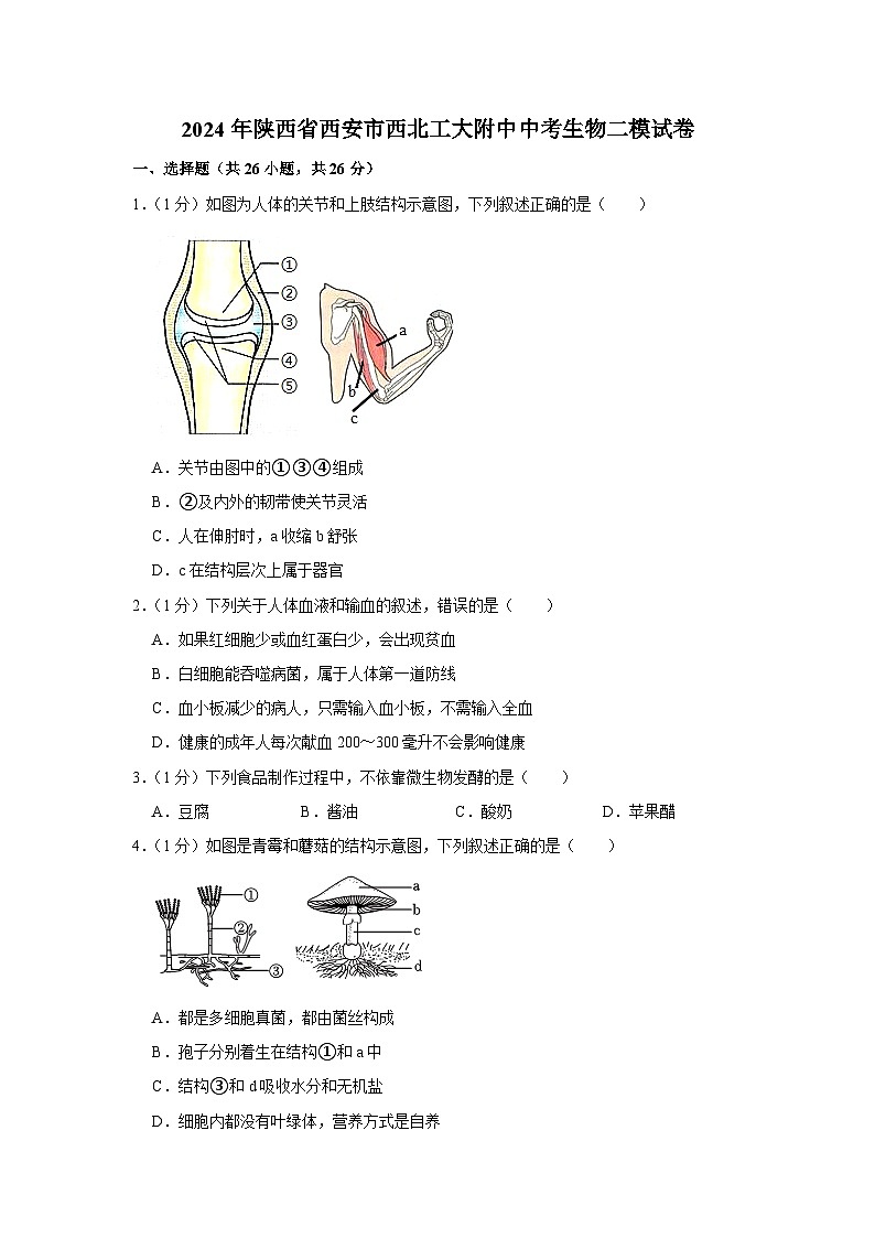 2024年陕西省西安市西北工大附中中考生物二模试卷+第1页