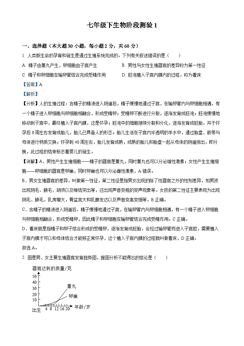 精品解析：广东东莞市松山湖南方外国语学校2023-2024学年七年级下学期第一次月考生物试题（解析版）第1页