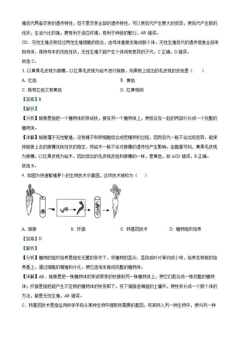 河北省张家口市张北三中2023-2024学年八年级下学期开学生物试题（原卷版+解析版）02
