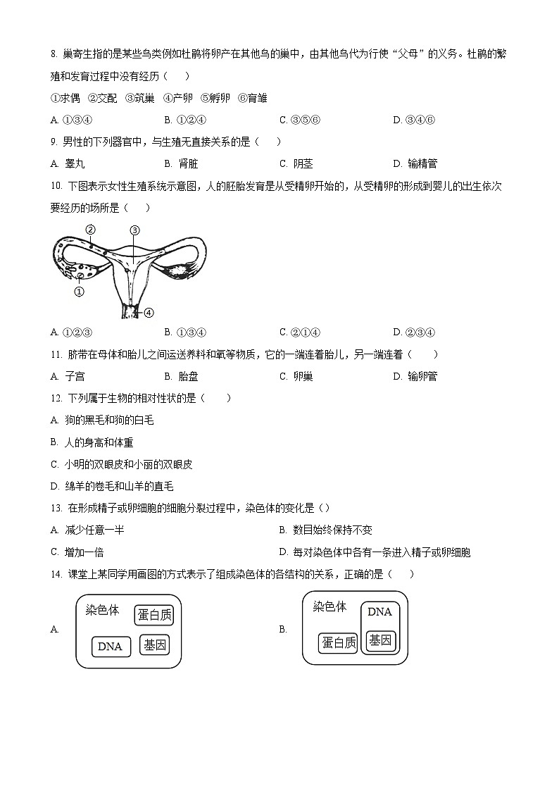 河北省张家口市张北三中2023-2024学年八年级下学期开学生物试题（原卷版+解析版）02
