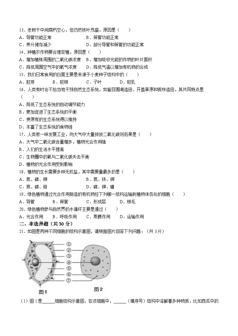 吉林省四平市铁东区2023-2024学年七年级上学期期末生物试题02
