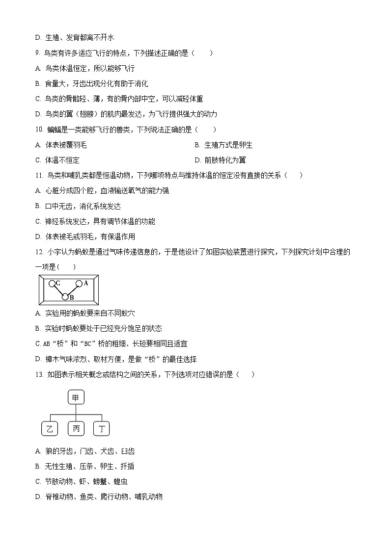 山东省东营市利津县凤凰实验中学2023-2024学年八年级上学期期末生物试题（原卷版+解析版）03