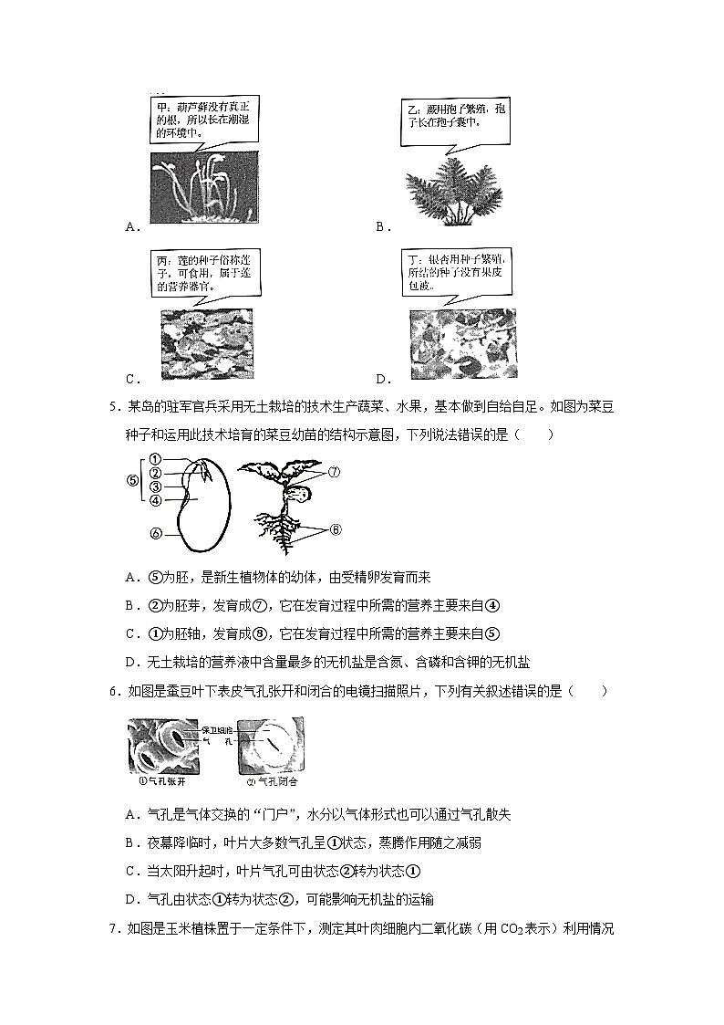 【全套精品专题】初中生物复习专题精讲 湖南省张家界市中考生物模拟试题（word版，含答案）02