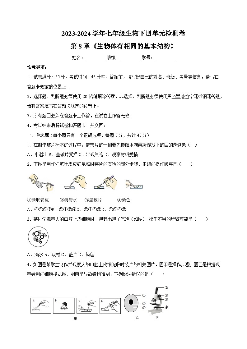 2023-2024学年苏科版七年级生物下册第8章《生物体有相同的基本结构》检测卷（含答案解析）01