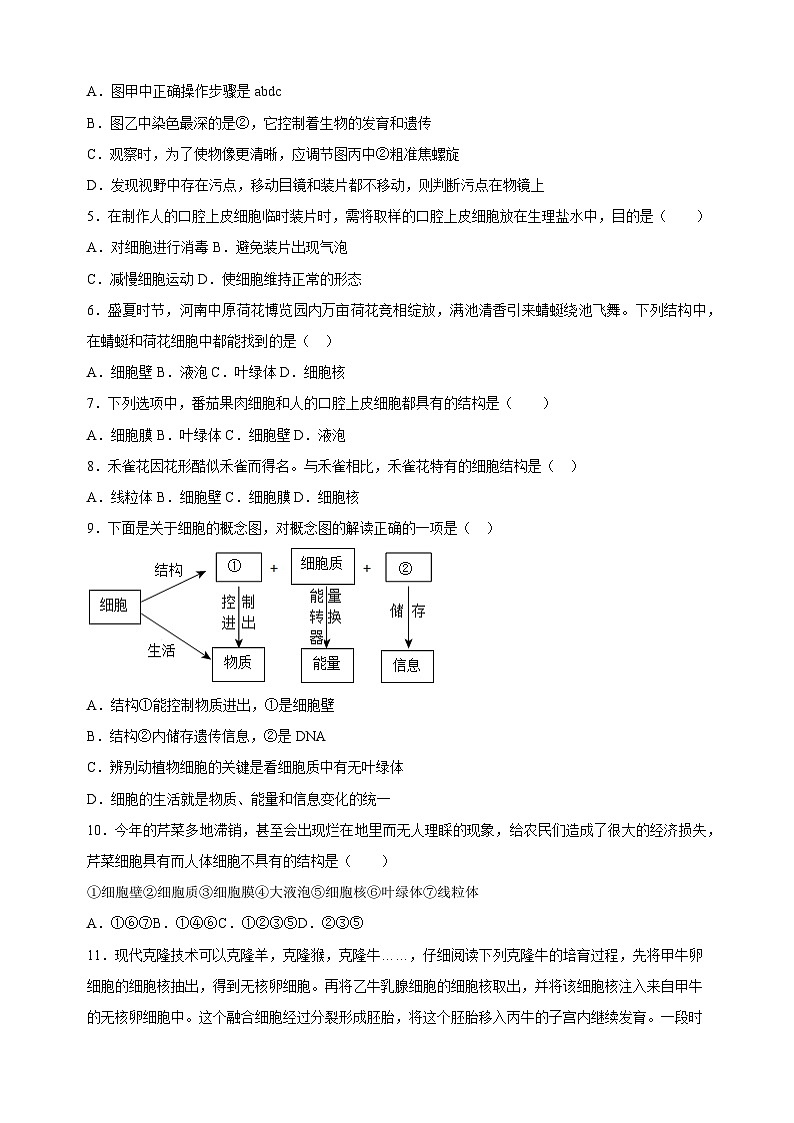 2023-2024学年苏科版七年级生物下册第8章《生物体有相同的基本结构》检测卷（含答案解析）02