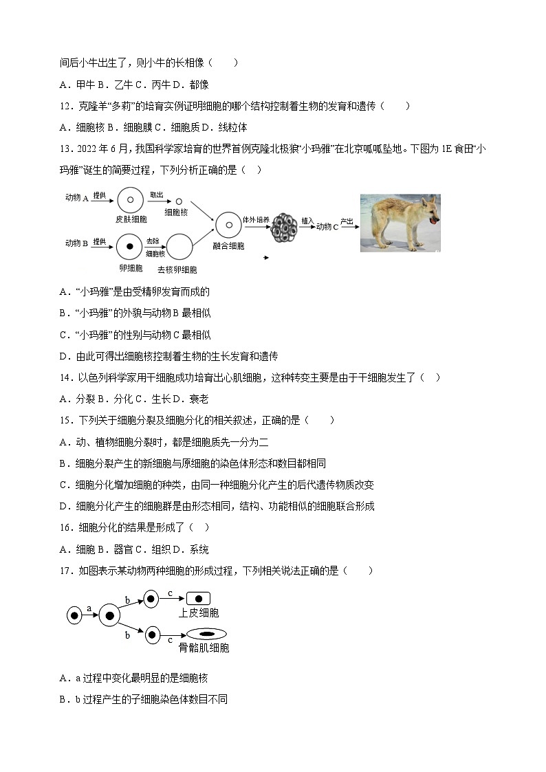 2023-2024学年苏科版七年级生物下册第8章《生物体有相同的基本结构》检测卷（含答案解析）03