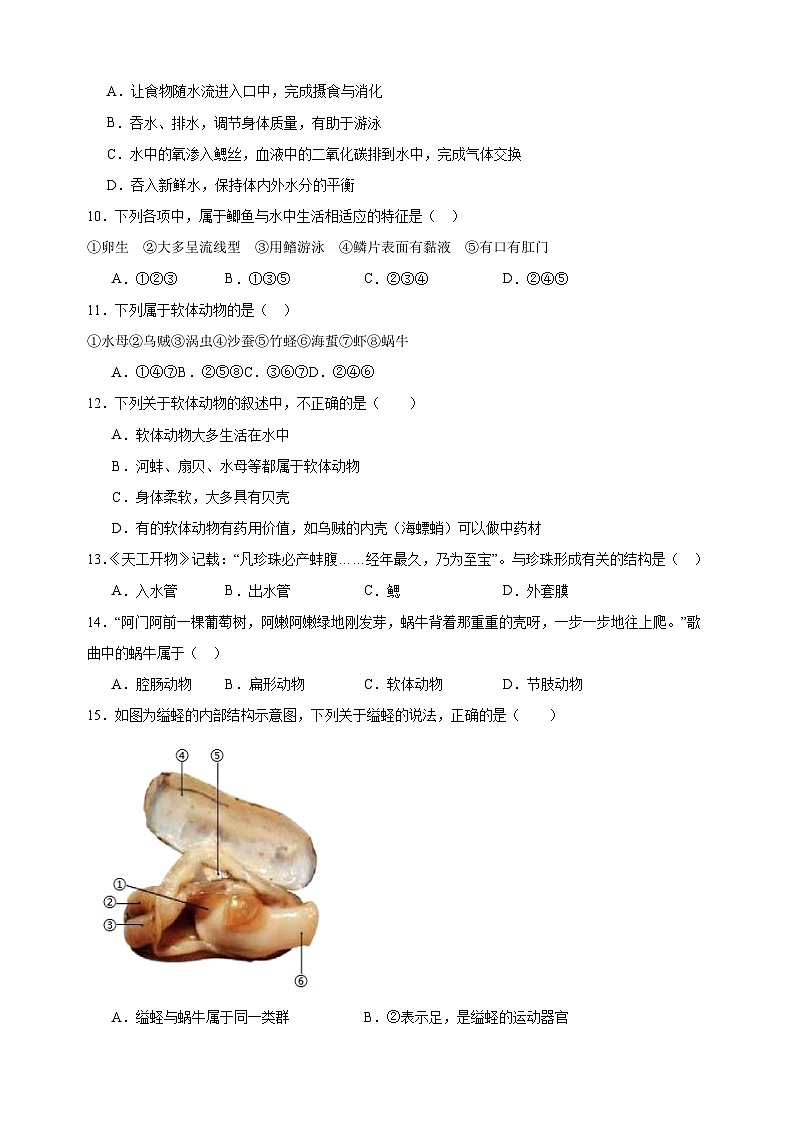 2023-2024学年苏科版七年级生物下册第10章《水中的生物》检测卷（含答案解析）第3页