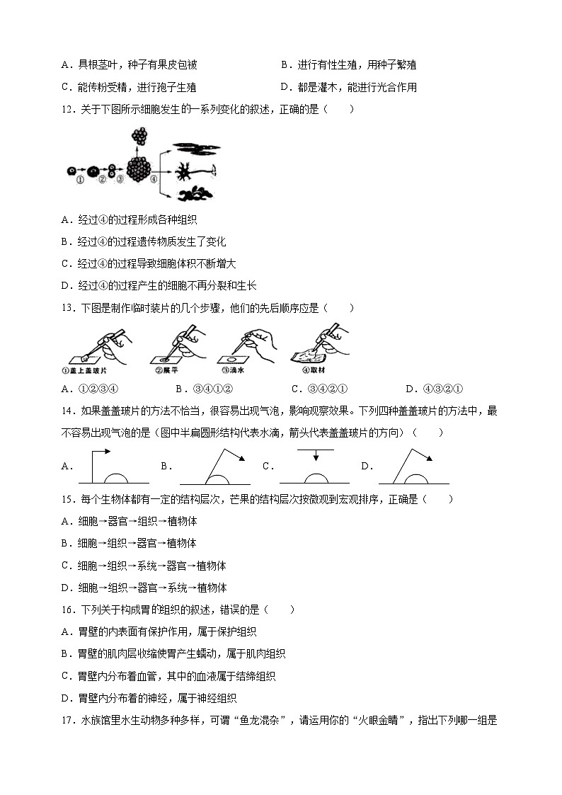 扬州市江都区2022-2023学年七年级下学期生物期末试卷（含答案解析）02