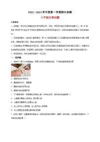 徐州市沛县2022-2023学年八年级上学期期末生物试题（含答案解析）