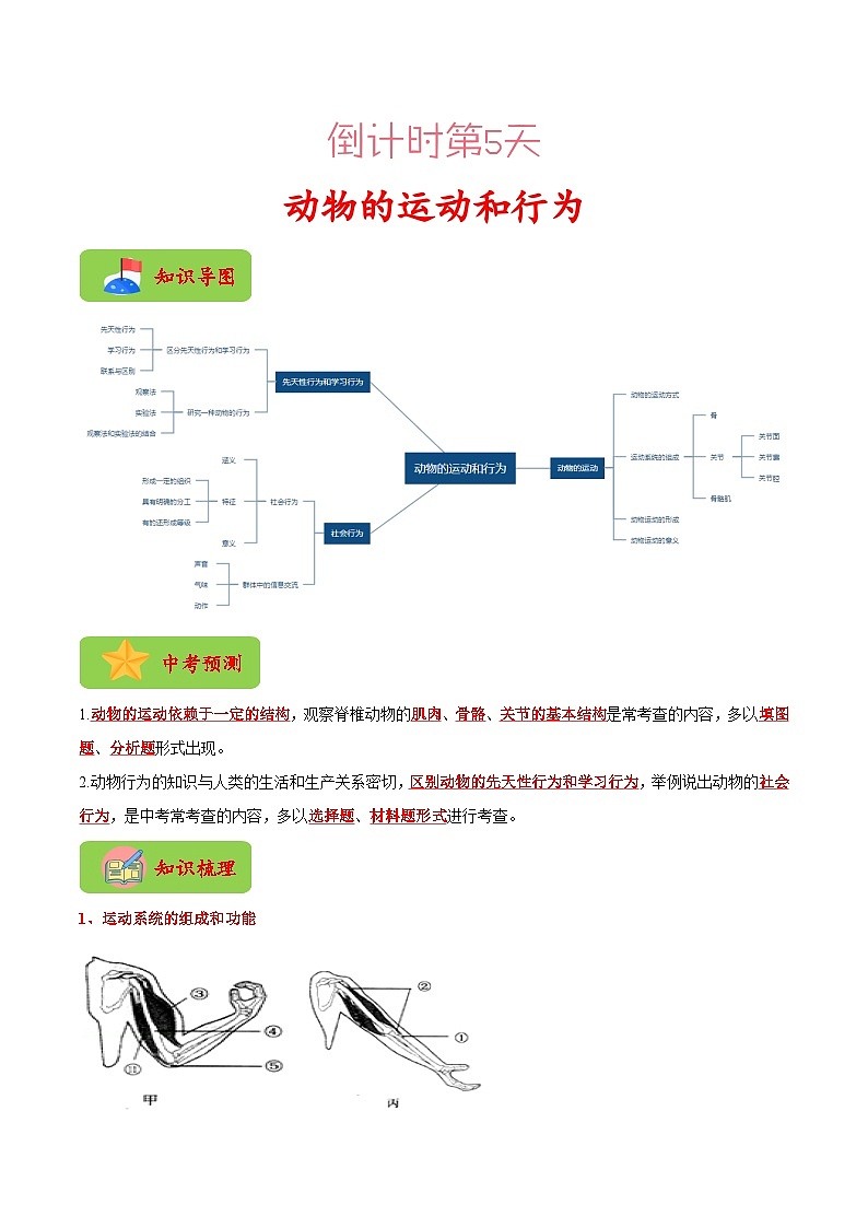 生物（四）-2023年中考考前20天终极冲刺攻略（解析版）第2页