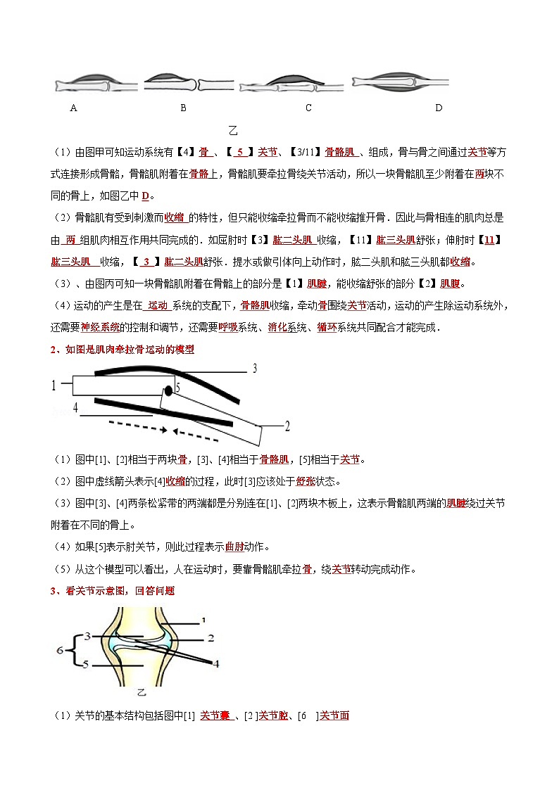 生物（四）-2023年中考考前20天终极冲刺攻略（解析版）第3页
