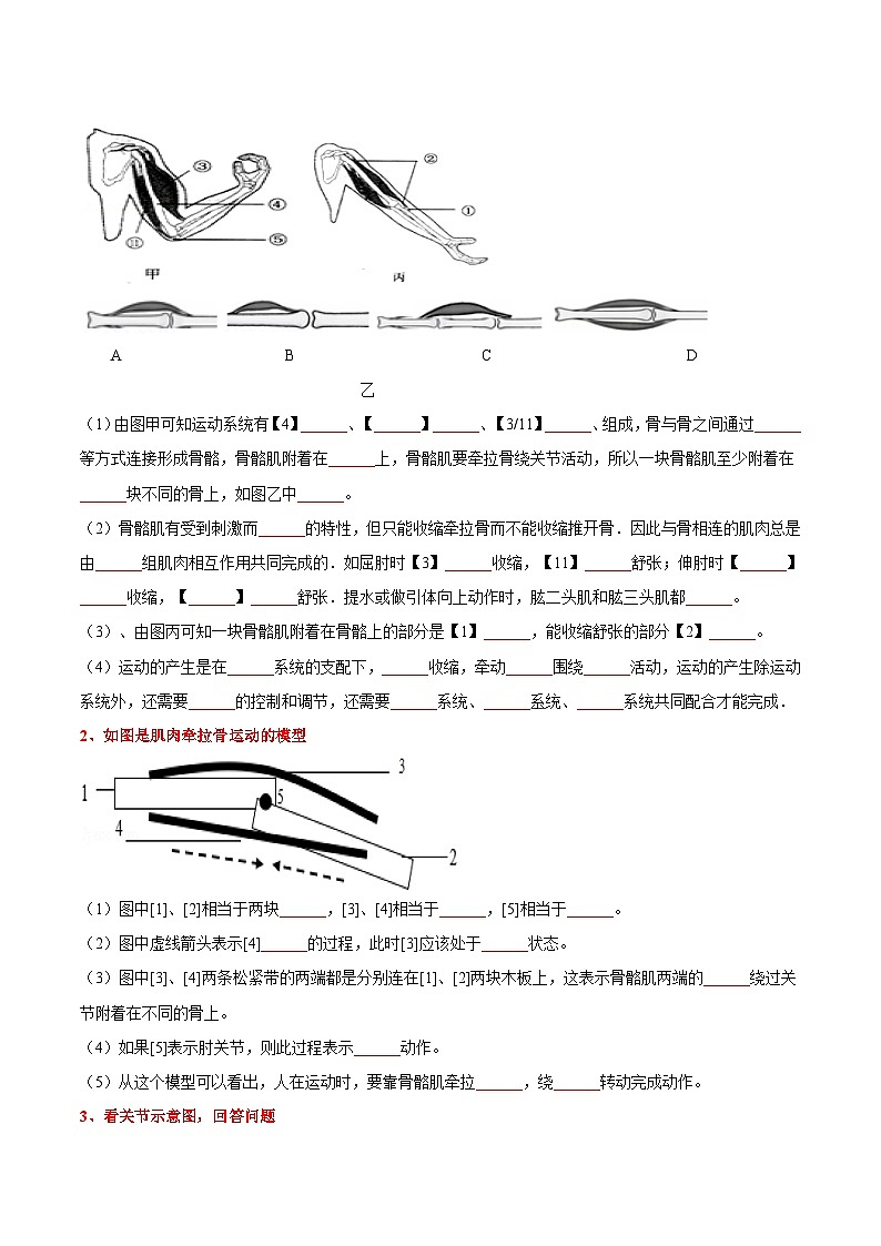 生物（四）-2023年中考考前20天终极冲刺攻略（原卷版）第3页