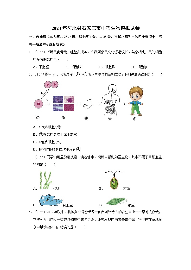 2024年河北省石家庄市中考生物模拟试卷第1页