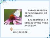 【人教版】八上生物  6.1.1 尝试对生物进行分类（课件+教案+学案+分层练习）