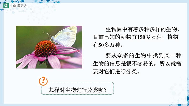 人教版八上生物  6.1.1 尝试对生物进行分类课件+教案+分层练习+学案03