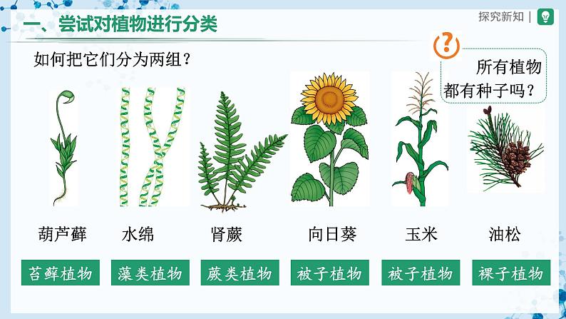 人教版八上生物  6.1.1 尝试对生物进行分类课件+教案+分层练习+学案06