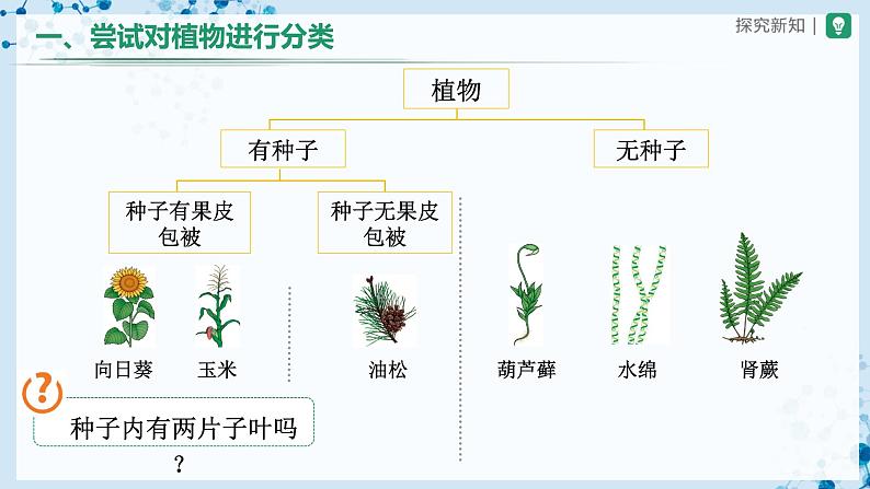 人教版八上生物  6.1.1 尝试对生物进行分类课件+教案+分层练习+学案08