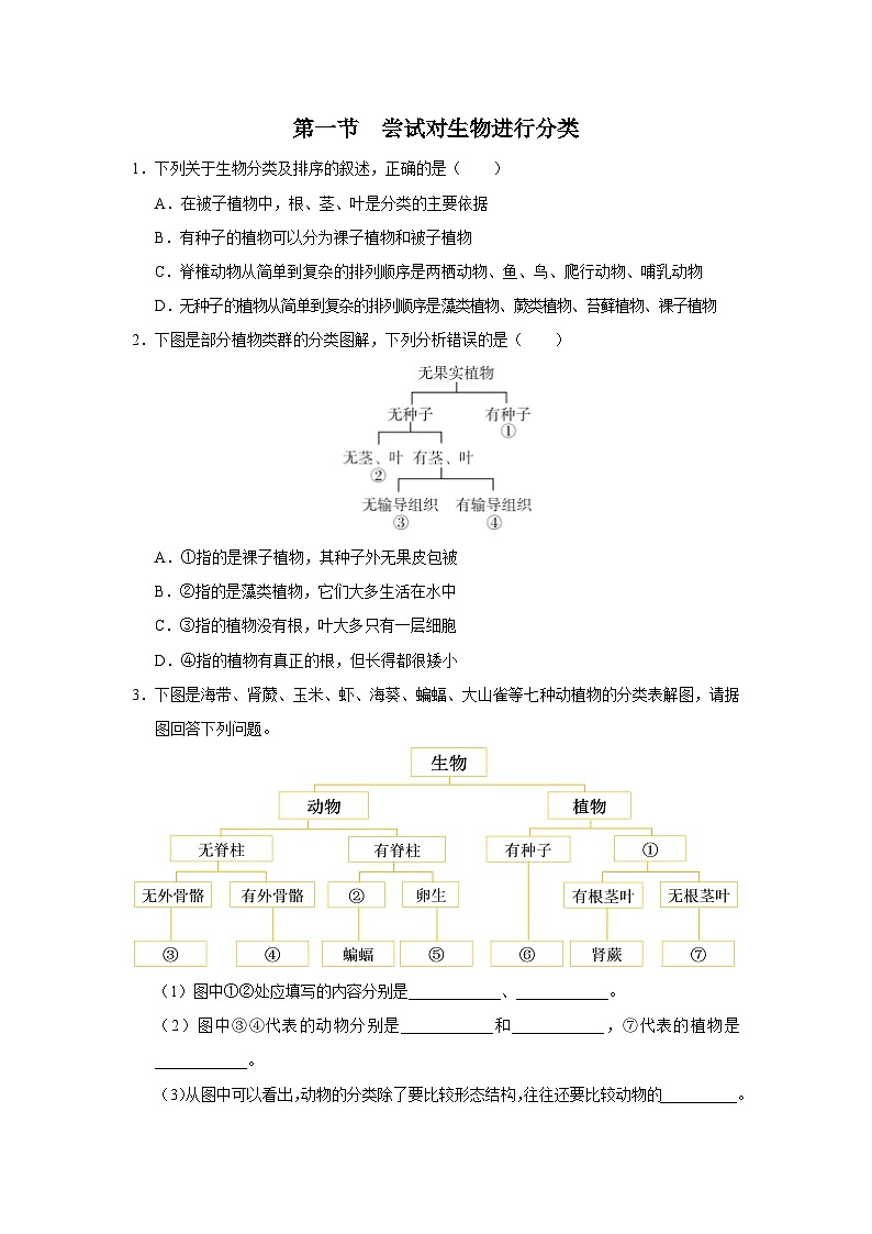 人教版八上生物  6.1.1 尝试对生物进行分类课件+教案+分层练习+学案01