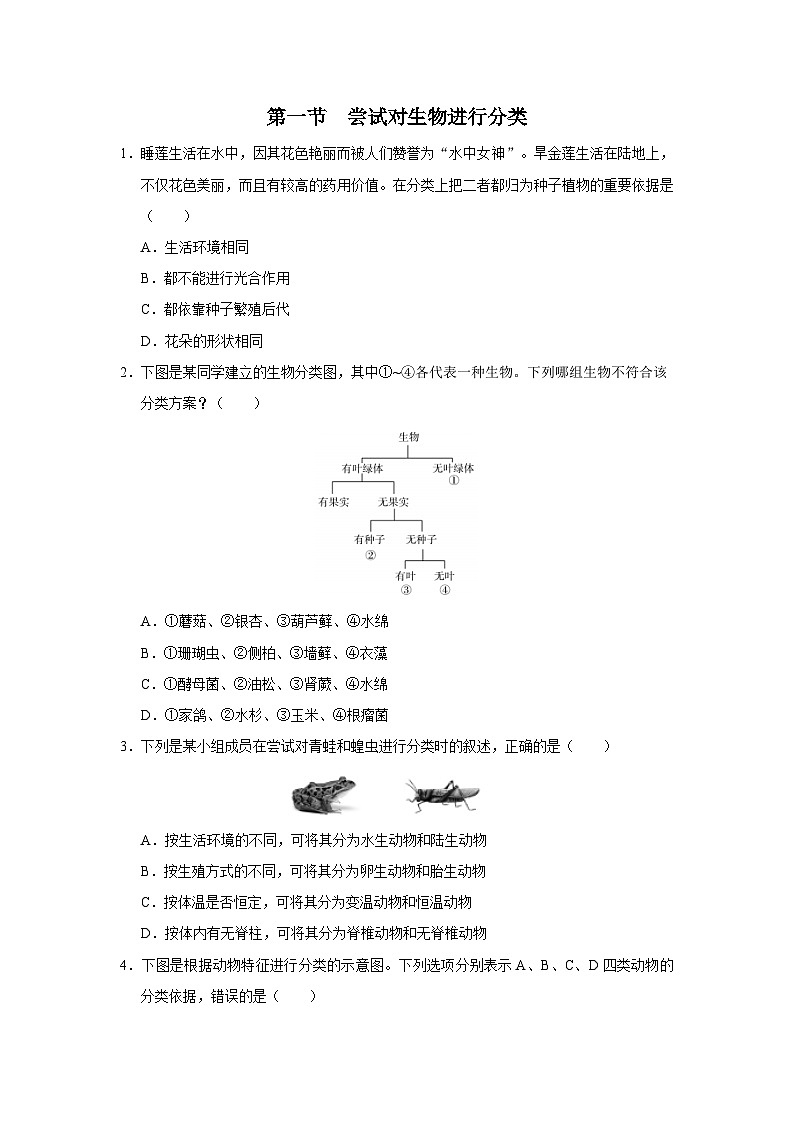 人教版八上生物  6.1.1 尝试对生物进行分类课件+教案+分层练习+学案01