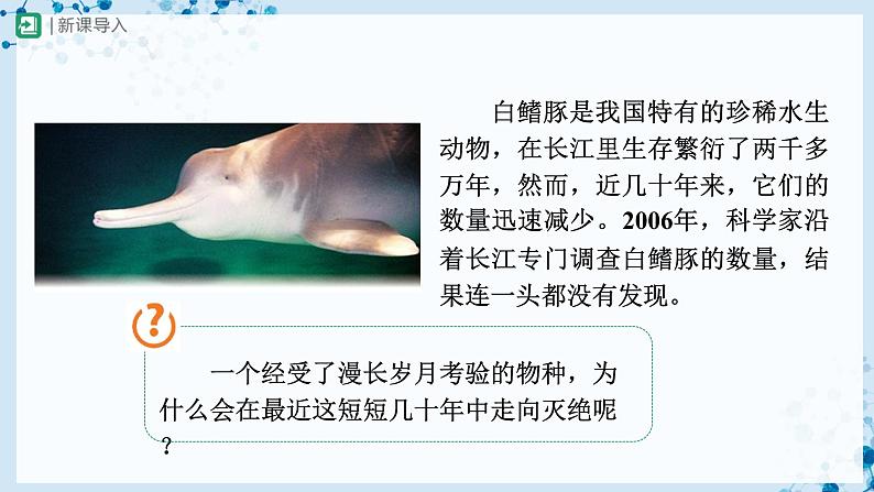 人教版八上生物  6.3 保护生物的多样性课件+教案+分层练习+学案02